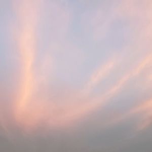 Meet your Posher, Rachelle